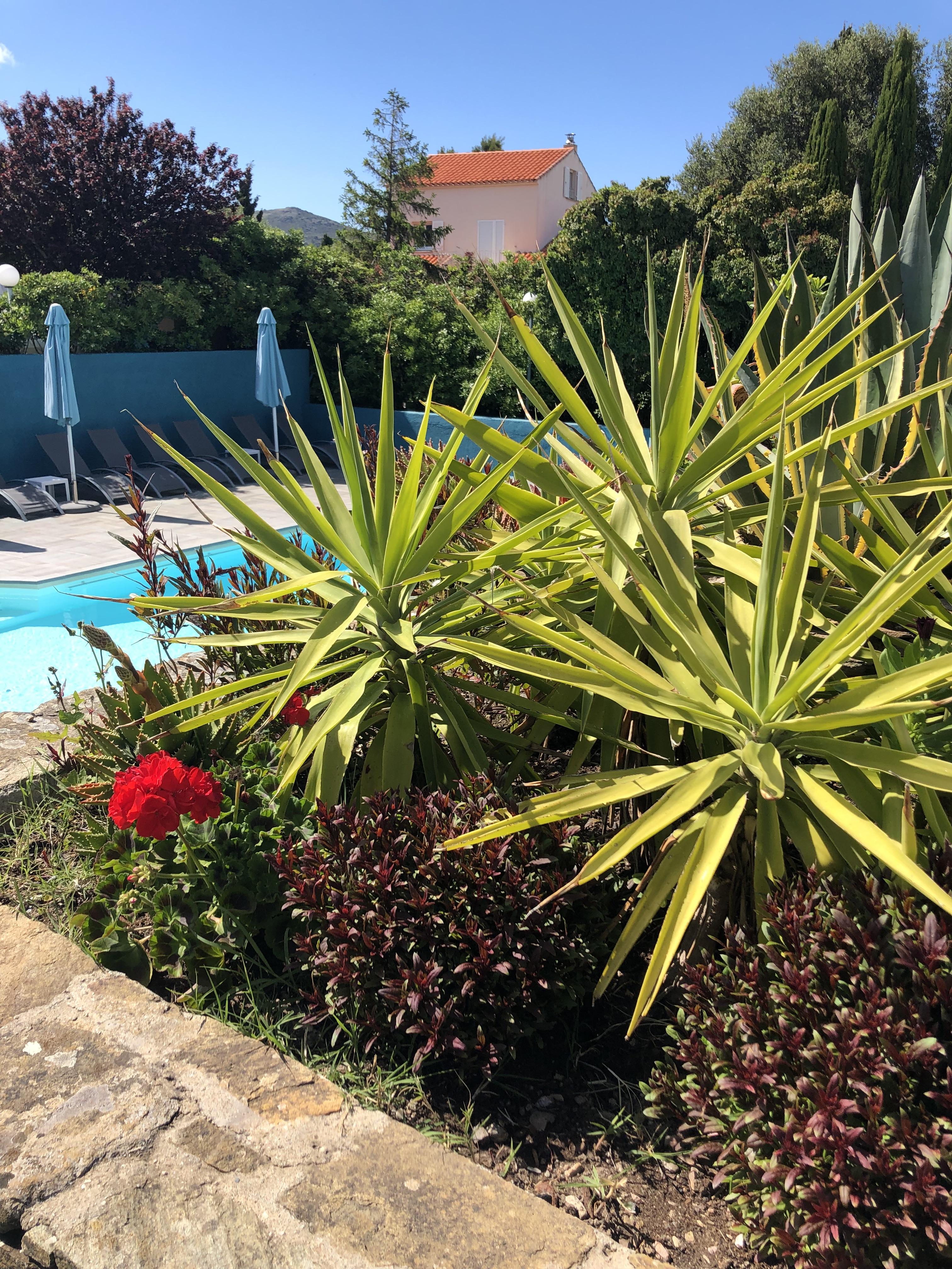 Hotel U Ricordu & Spa Macinaggio  Dış mekan fotoğraf